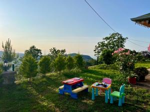 Nature Family House
