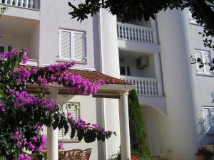 Apartments Paloma Blanca