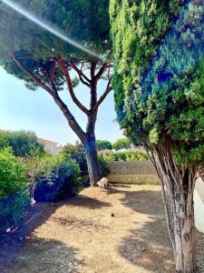 Villas Magnifique appartement dans villa renovee de 45m2 : photos des chambres