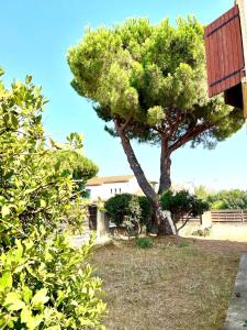 Villas Magnifique appartement dans villa renovee de 45m2 : photos des chambres