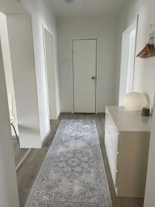 Antinkatu kaksio, As1