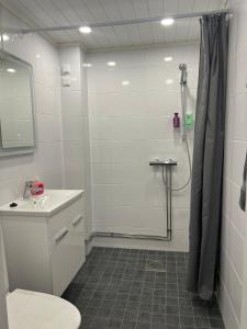 Antinkatu kaksio, as2