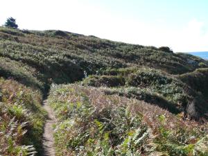 B&B / Chambres d'hotes Entre Mer et Riviere : photos des chambres