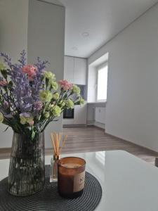 Kaunas City Apartment