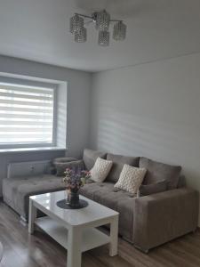 Kaunas City Apartment
