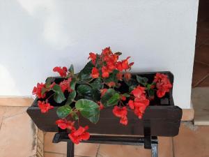 Casetta Dei Nonni con Giardino, by Apuliahome