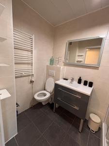 Appartements Le Central parking et 15 minutes a pied du lac : photos des chambres