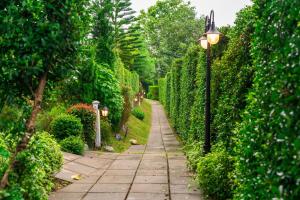 Mirandas House Khaokho มิรันดาเฮ้าส์ เขาค้อ