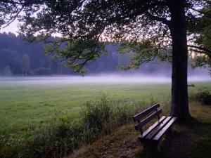 Gemütliche Ferienwohnung mit Sauna und Balkon im Zentrum von Bad Elster