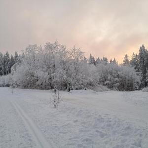 Gemütliche Ferienwohnung mit Sauna und Balkon im Zentrum von Bad Elster