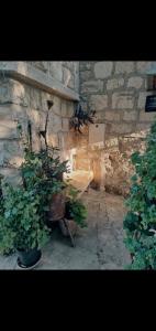 Studio apartment in OLD TOWN