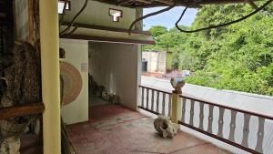 Hotel - Museo Xibalba