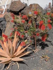 Casa Juleta barrierefrei