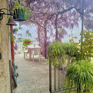 Casa il Glicine Valtellina