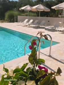 Sundial Houses - Pool & Garden