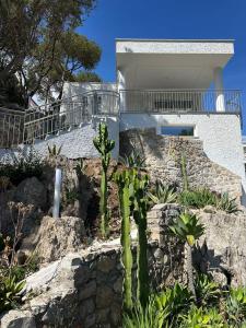 Vento Verde Apartments