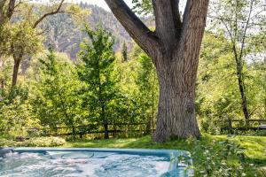 Million Dollar Creekside Treehouse Hottub Rafting Hiking Fishing and Mins to Glenwood and Hotsprings
