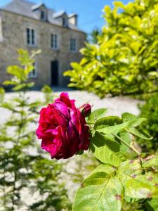 Maisons de vacances Le Clos du Haut Gallion An authentic haven of peace : photos des chambres