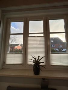 Ferienwohnung Wattverliebt Pellworm