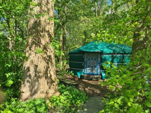 Yurt in Drenthe