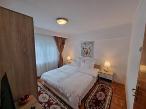 Apartament 2 camere central Otopeni