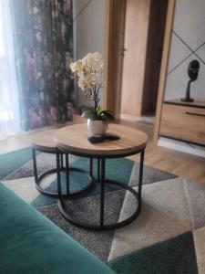 Apartament KARMELOWY NA DOLNEJ Green Park Resort A13 z basenem, sauną, jacuzzi i siłownią