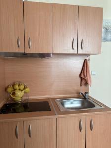 Cozy studio in Sunny beach