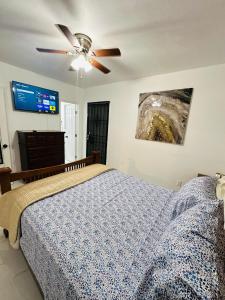 Miami Casa II