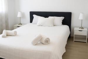 Studio in Saint tropez, swimming pool and parking