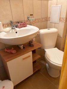 Cozy studio in Sunny beach