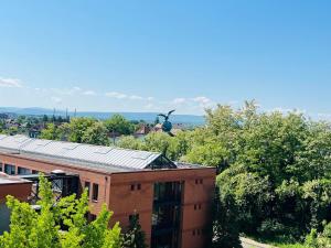 Appartements Sunny Loft Basel Airport Art Basel : photos des chambres