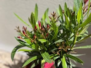 Appartements Sunny Loft Basel Airport Art Basel : photos des chambres