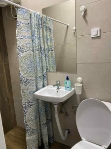 Lazarus Studio Apartment 2
