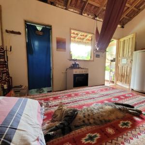 Casa Verdemô Paraty com cachoeira