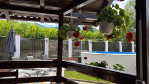 Cabana cu piscinÄ ALLEGRIA - TOCILE , jud SIBIU