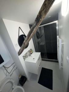 Studio B lumineux refait à neuf cœur historique de Troyes