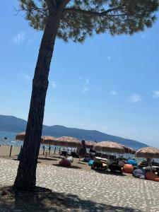 Holiday Rent Apartment AVA