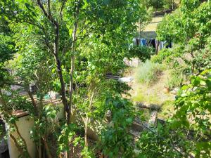 Maisons de vacances Maison au coeur du Verdon 2 chambres et terrasse : photos des chambres