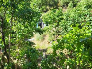 Maisons de vacances Maison au coeur du Verdon 2 chambres et terrasse : photos des chambres