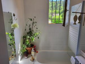 Maisons de vacances Maison au coeur du Verdon 2 chambres et terrasse : photos des chambres