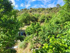 Maisons de vacances Maison au coeur du Verdon 2 chambres et terrasse : photos des chambres