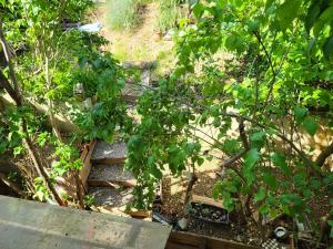 Maisons de vacances Maison au coeur du Verdon 2 chambres et terrasse : photos des chambres