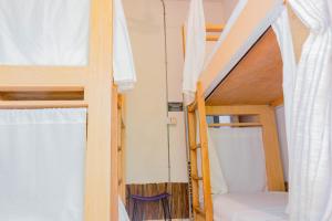 Hostel Musa Paradisiaca