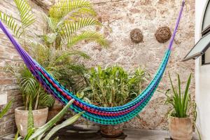 Vallarta s lovely apartment