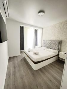 The Mushroom Street Apartment