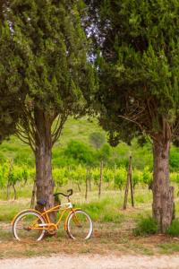 Agriturismo Montemagni di Sopra