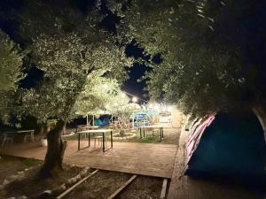 Oasis Camping