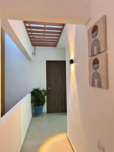 Casa Flor Hostel & Drinks