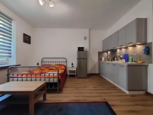 Apartment with kitchenette