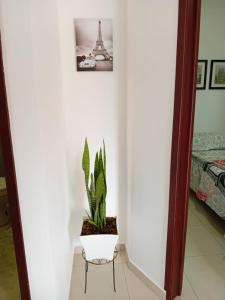 Blooming House Melgar